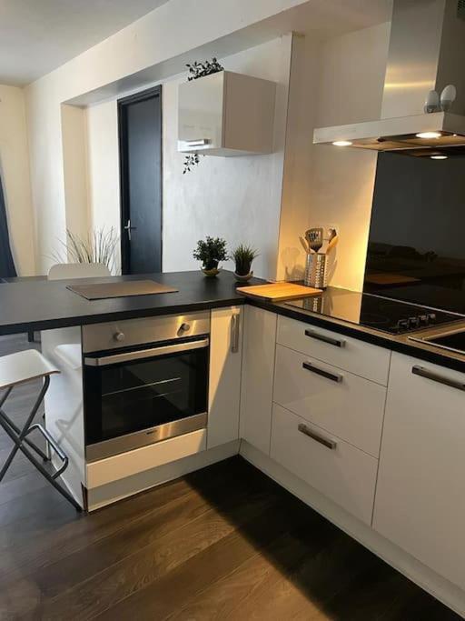 Le Cocon Des Horizons Lejlighed Rennes Eksteriør billede